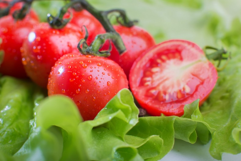 How to Grow Delicious Juicy Tomatoes!