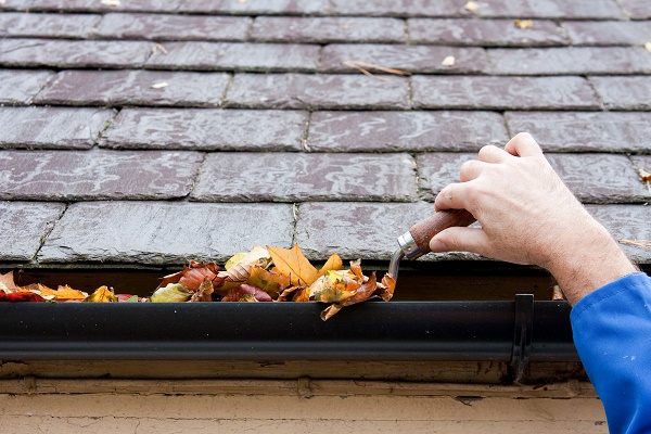 Clearing Autumn Leaves from Gutter with Trowel