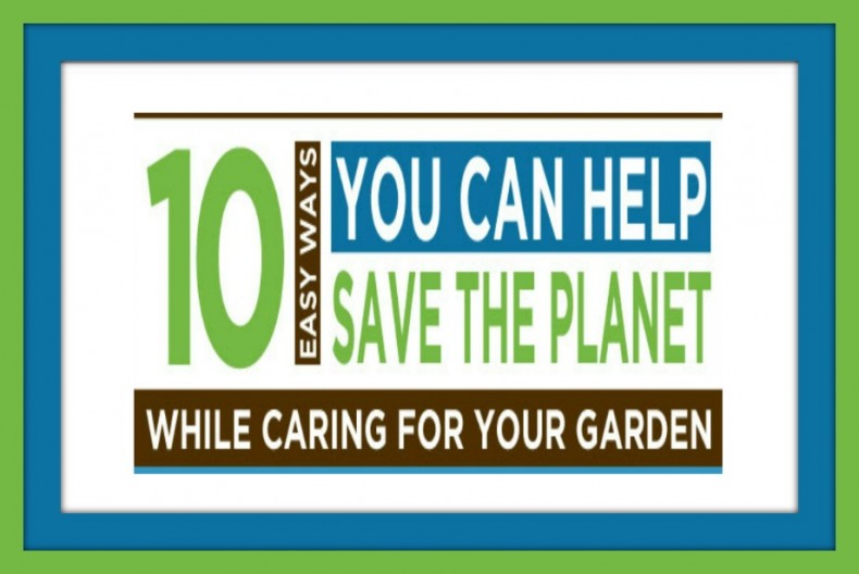 10 Ways to Help Save the Planet