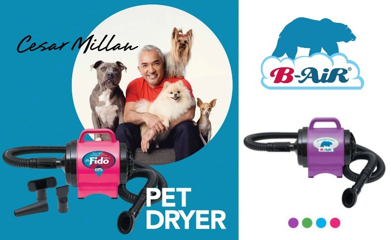 Fido MAX-1 Dog Dryer: Cesar Millan Premier Collection by B-Air